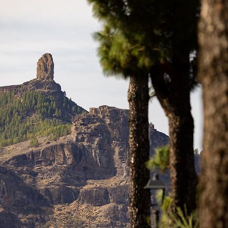 Casa Maria With Roque Nublo View Apartment เตเฮดา ภายนอก รูปภาพ