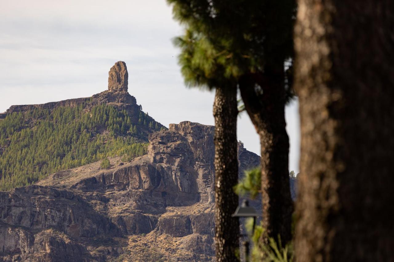Casa Maria With Roque Nublo View Apartment เตเฮดา ภายนอก รูปภาพ