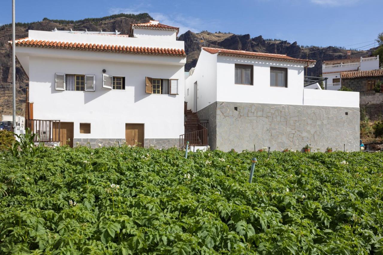 Casa Maria With Roque Nublo View Apartment เตเฮดา ภายนอก รูปภาพ